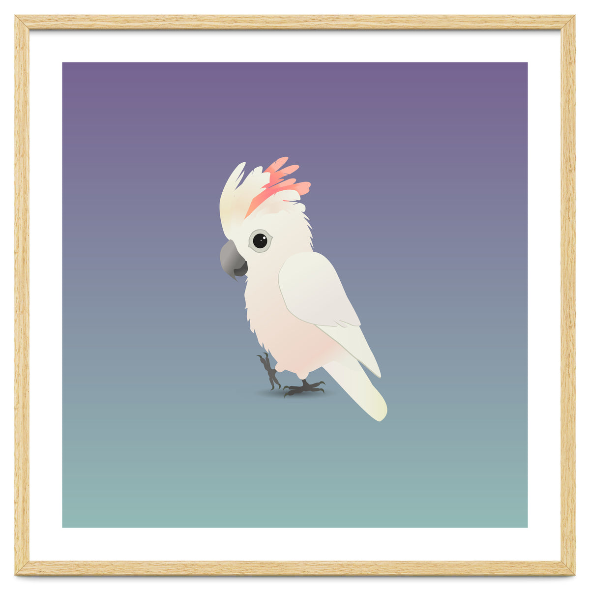 Salmon-crested cockatoo