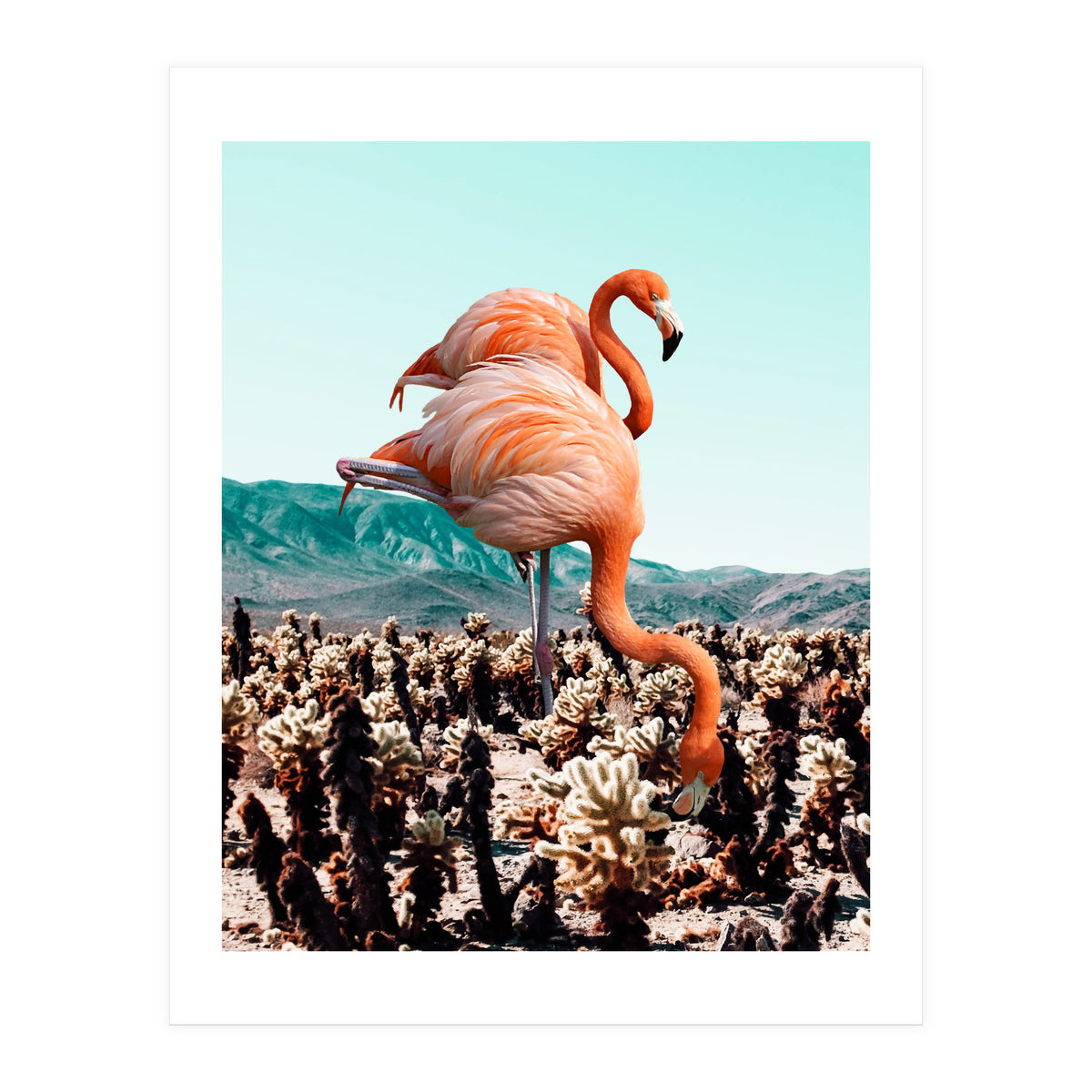 Flamingos In The Desert (Print Only)