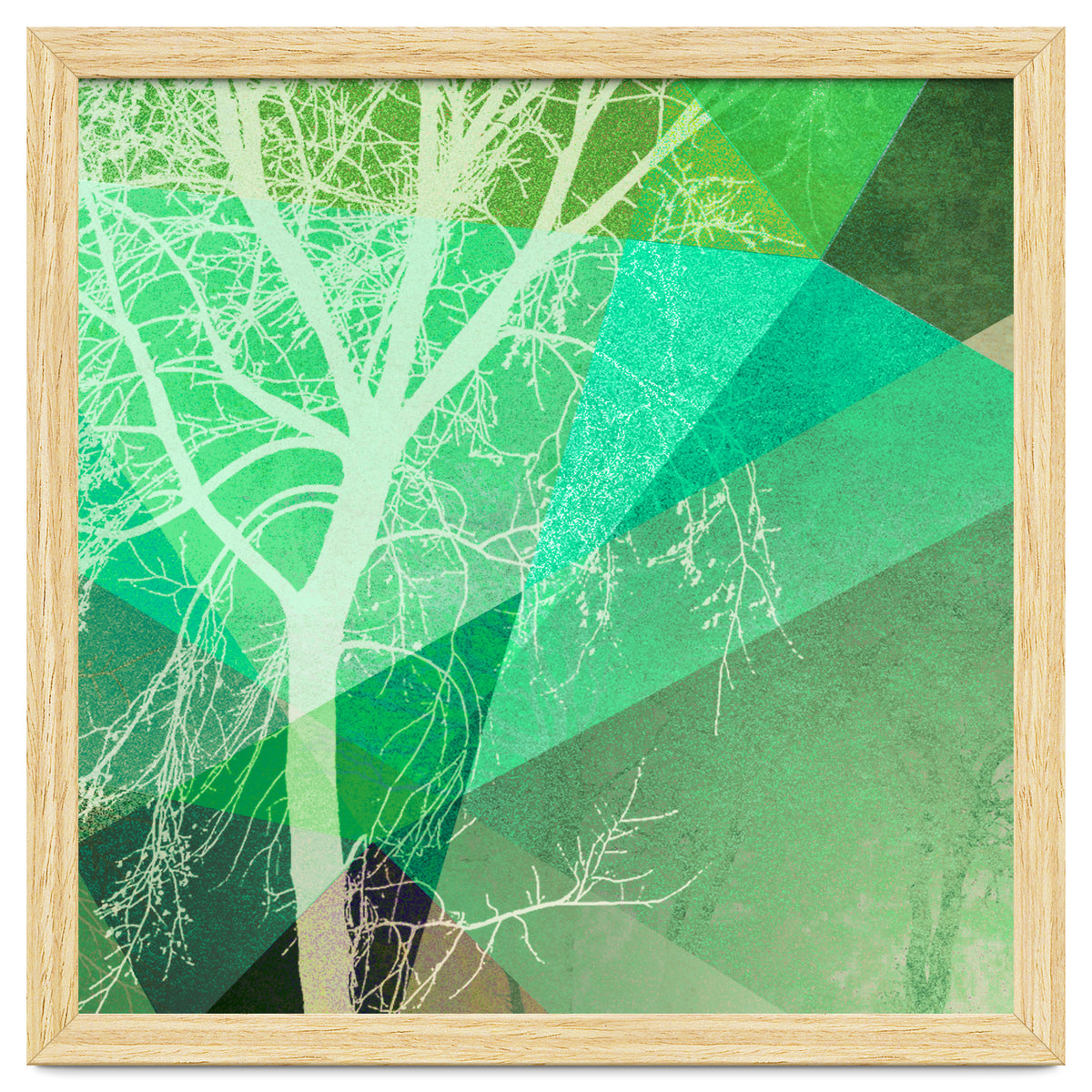 P22-B3 Trees And Triangles