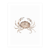 Crab (Print Only) thumbnail