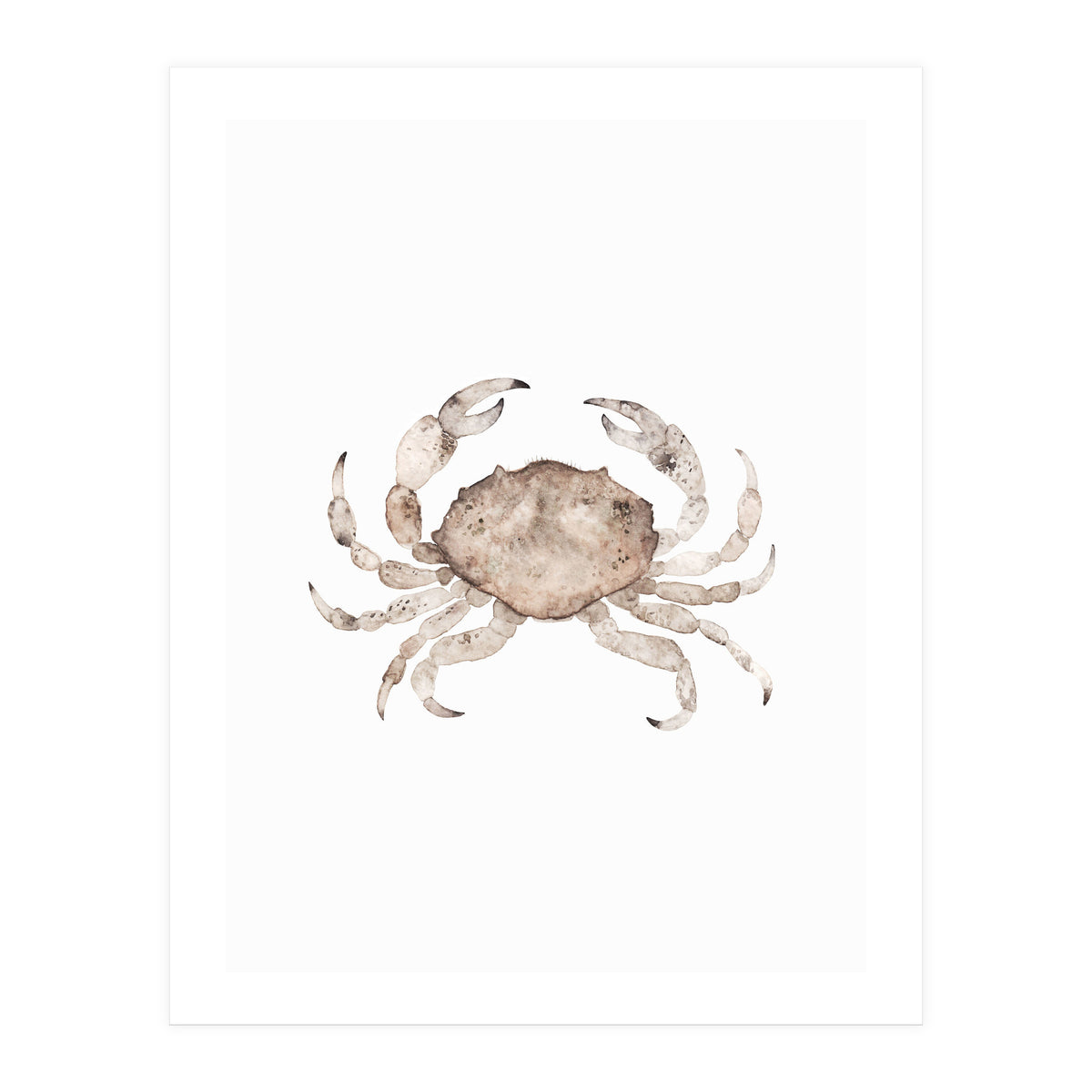 Crab (Print Only)
