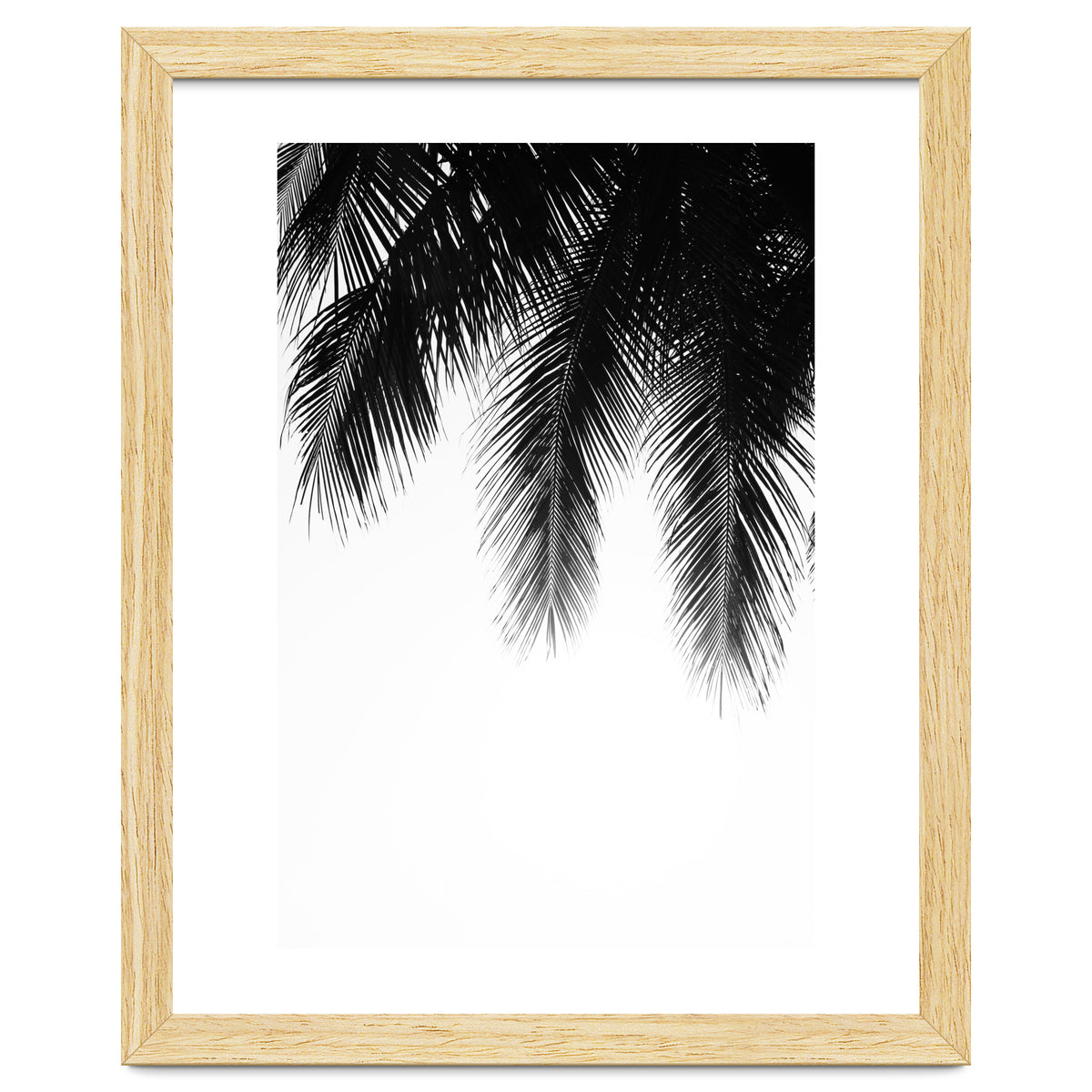 Palm leaves