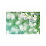 Nature (Print Only) thumbnail