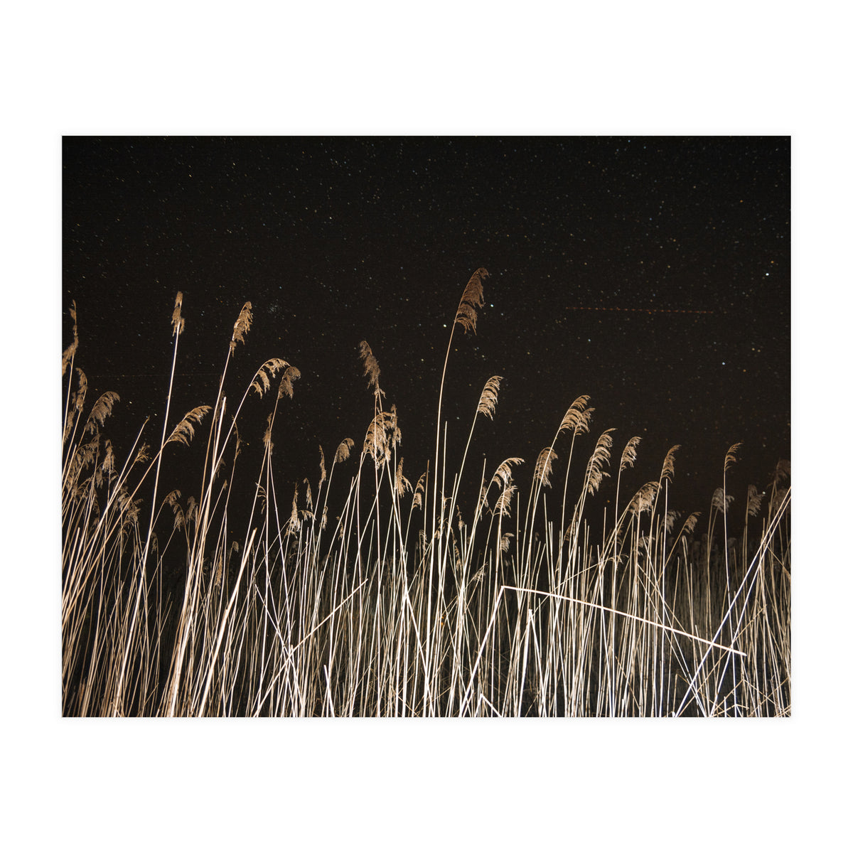 The Shining (Print Only)