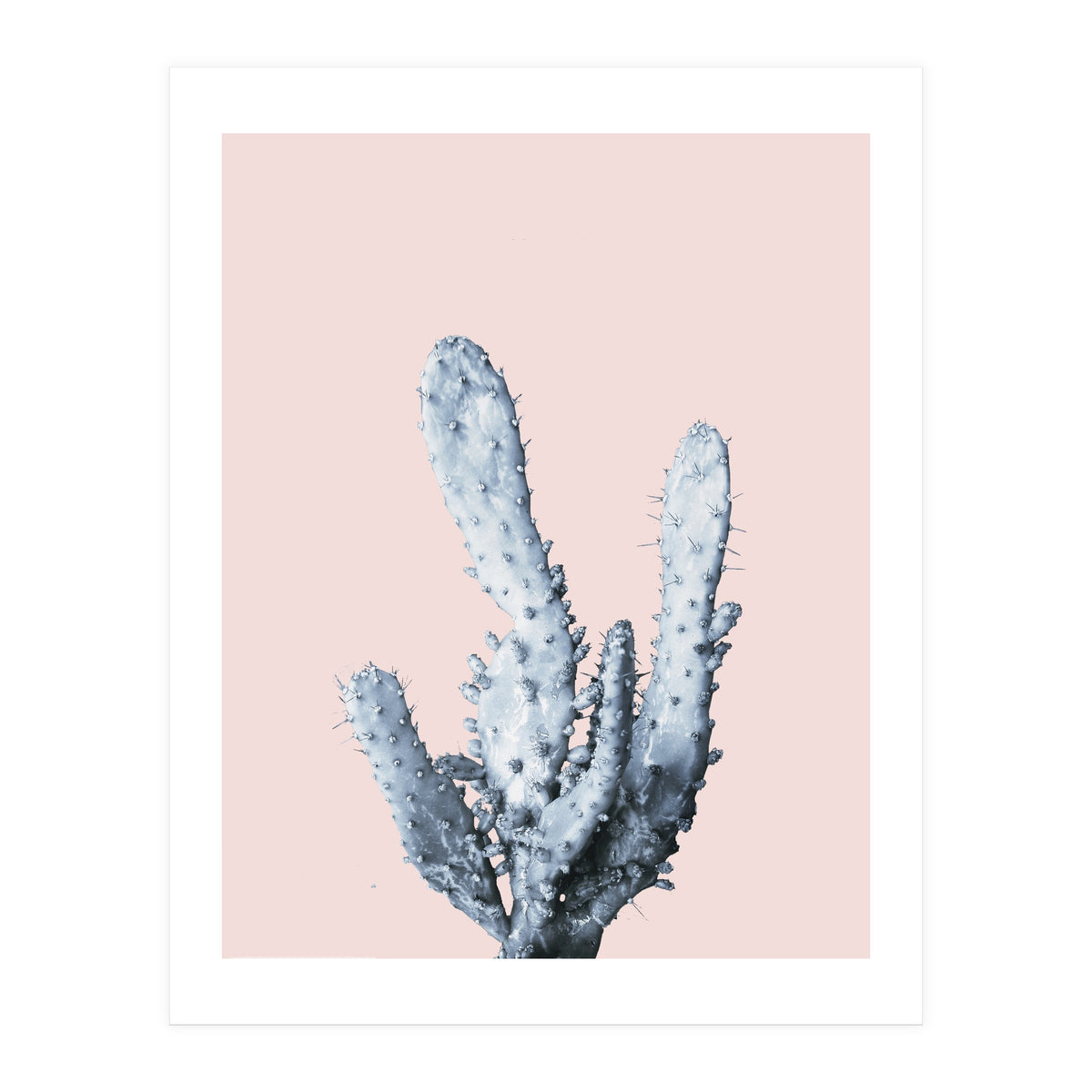 Cactus collection BL-I (Print Only)