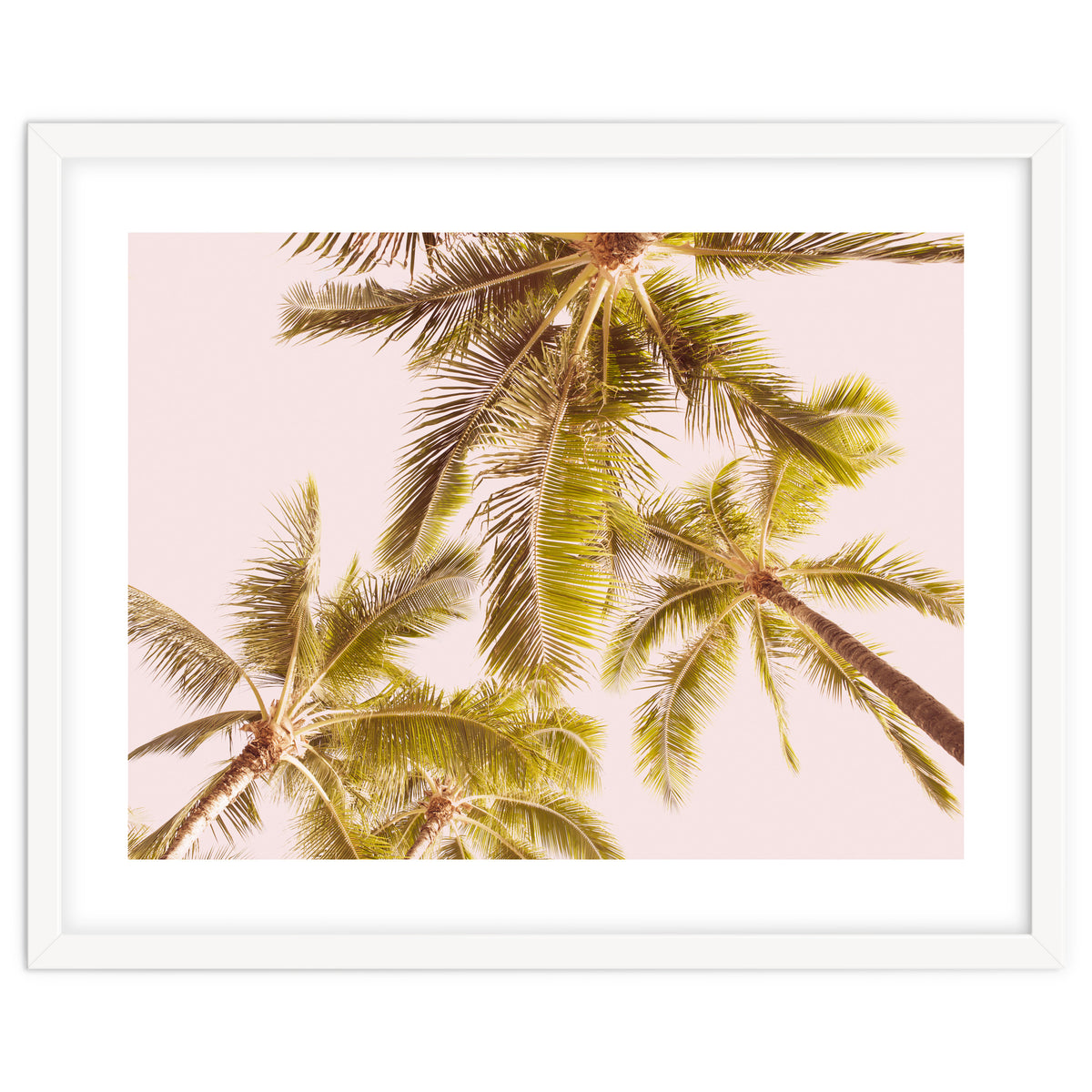 Blush Pink Boho Palm Trees