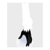 Quiet Sounds III (Print Only) thumbnail