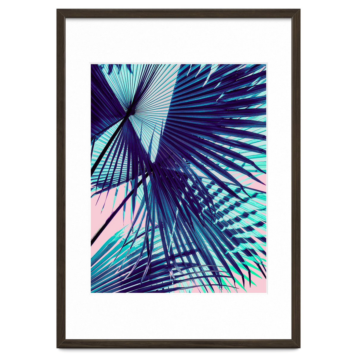 Palm leaf on the beach