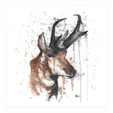 Red deer - Wildlife Collection (Print Only) thumbnail