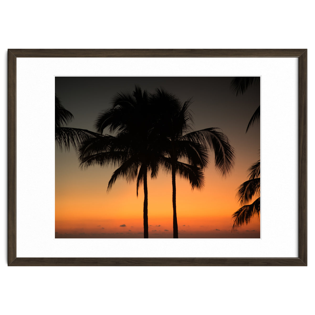 Mexico, November nights