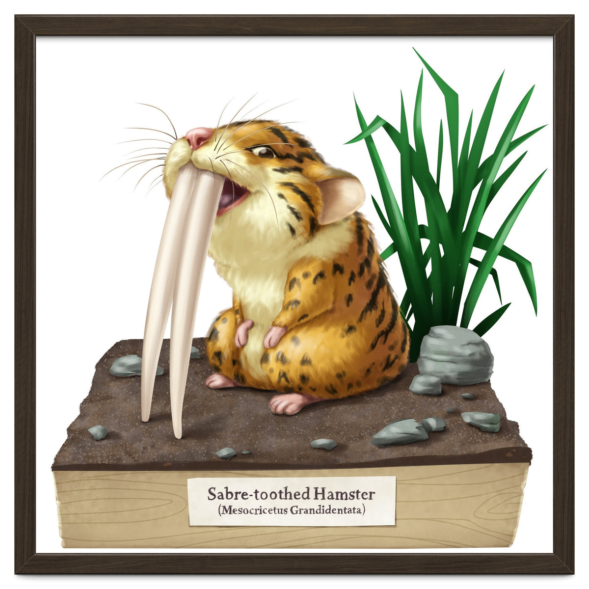 Saber-toothed Hamster