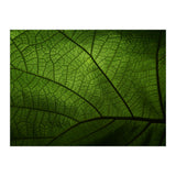 Macro (Print Only) thumbnail