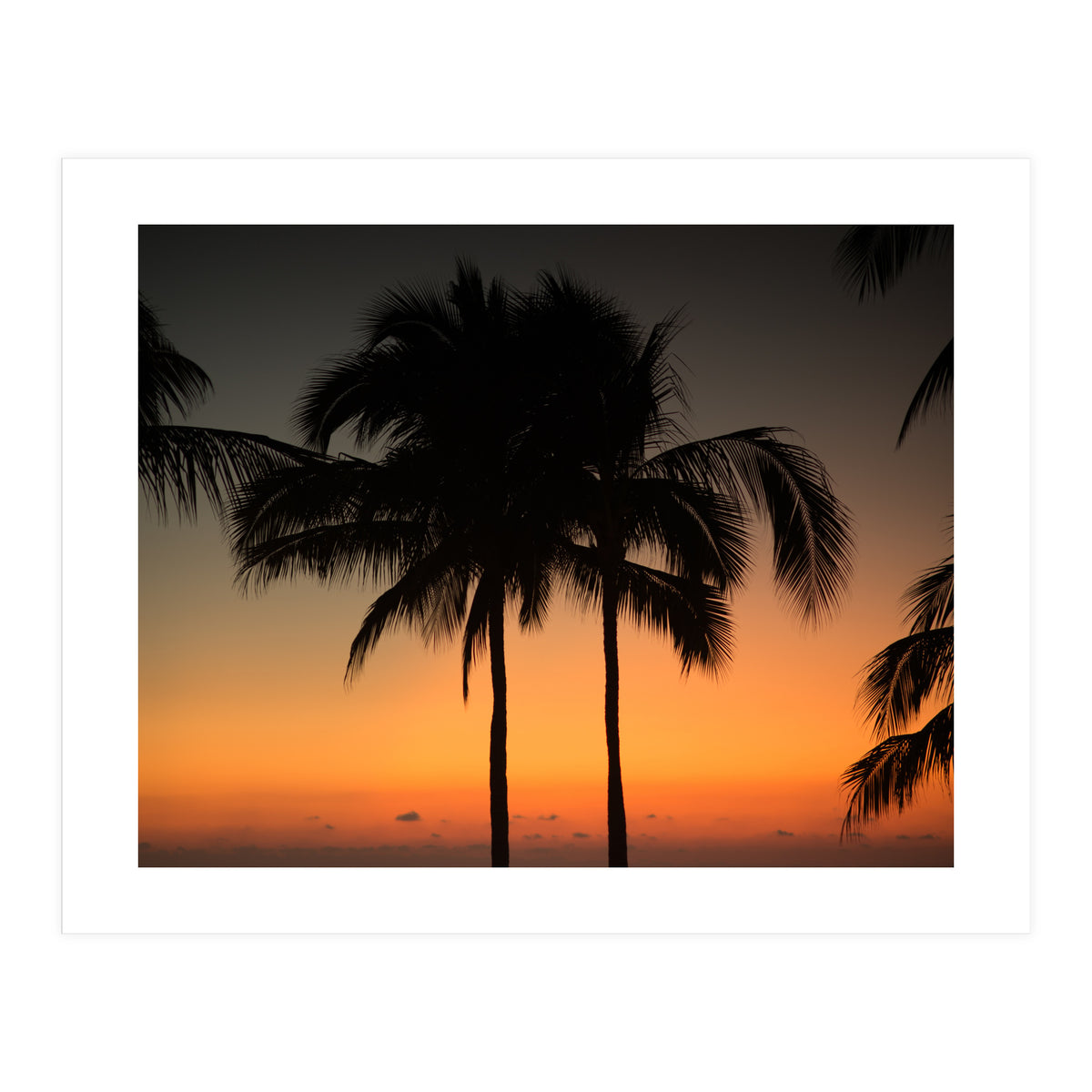 Mexico, November nights (Print Only)