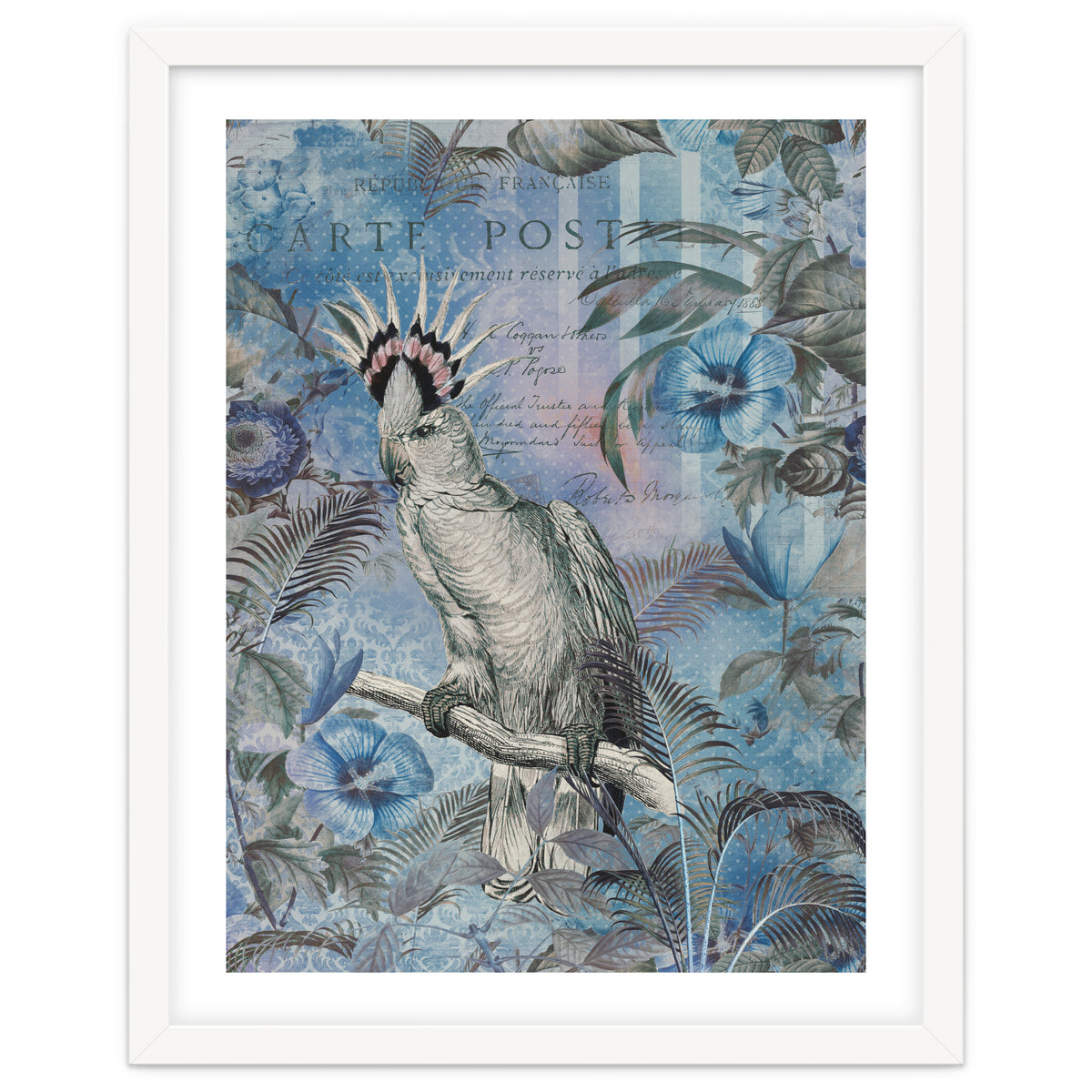 Jungle Cockatoo Blue