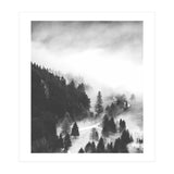 Valley Of Secrets (Print Only) thumbnail