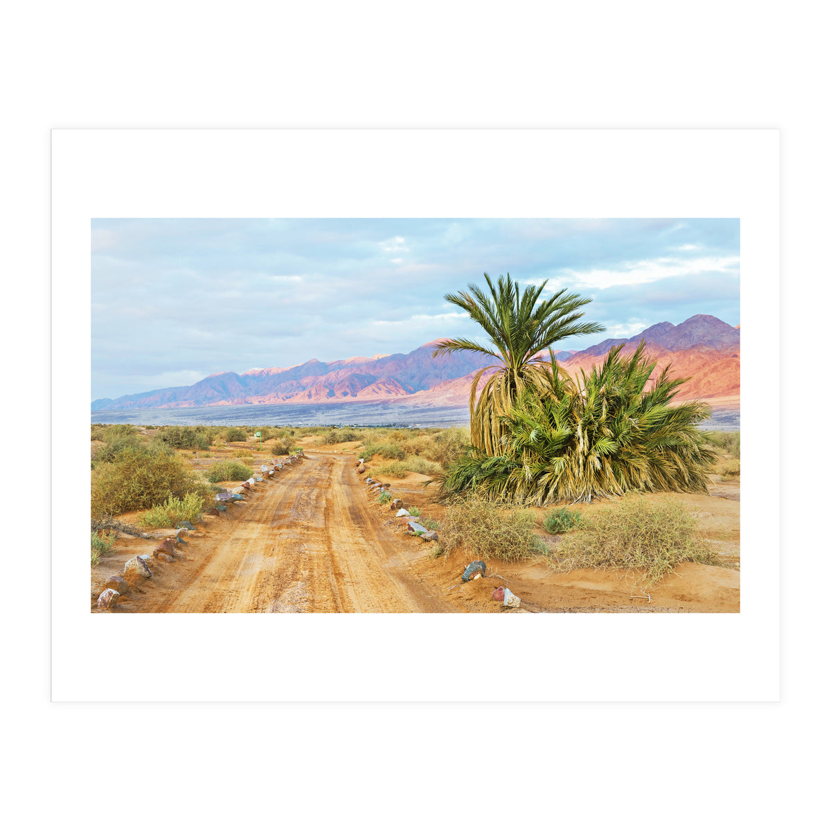 Joshua Tree (Print Only)