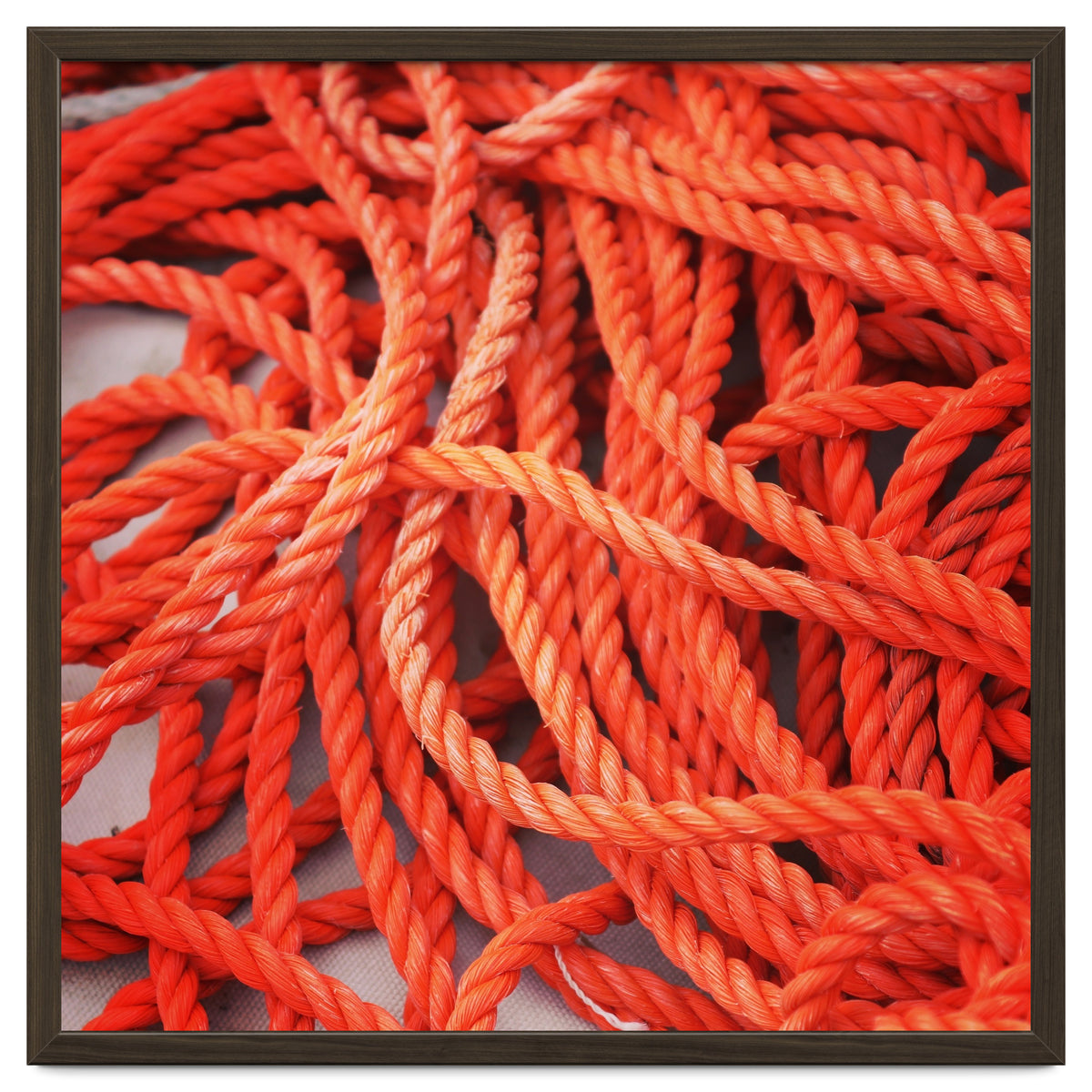 Orange ropes