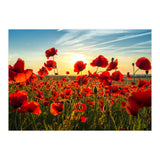 Poppies (Print Only) thumbnail