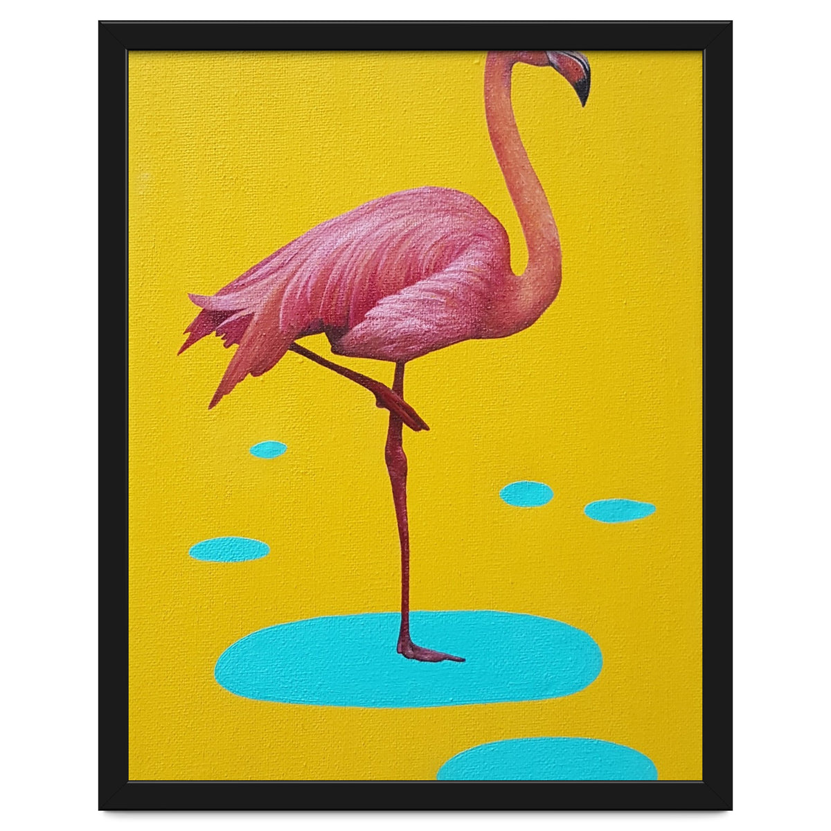 Flamingo