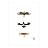 Falconidae n.2 (Print Only) thumbnail