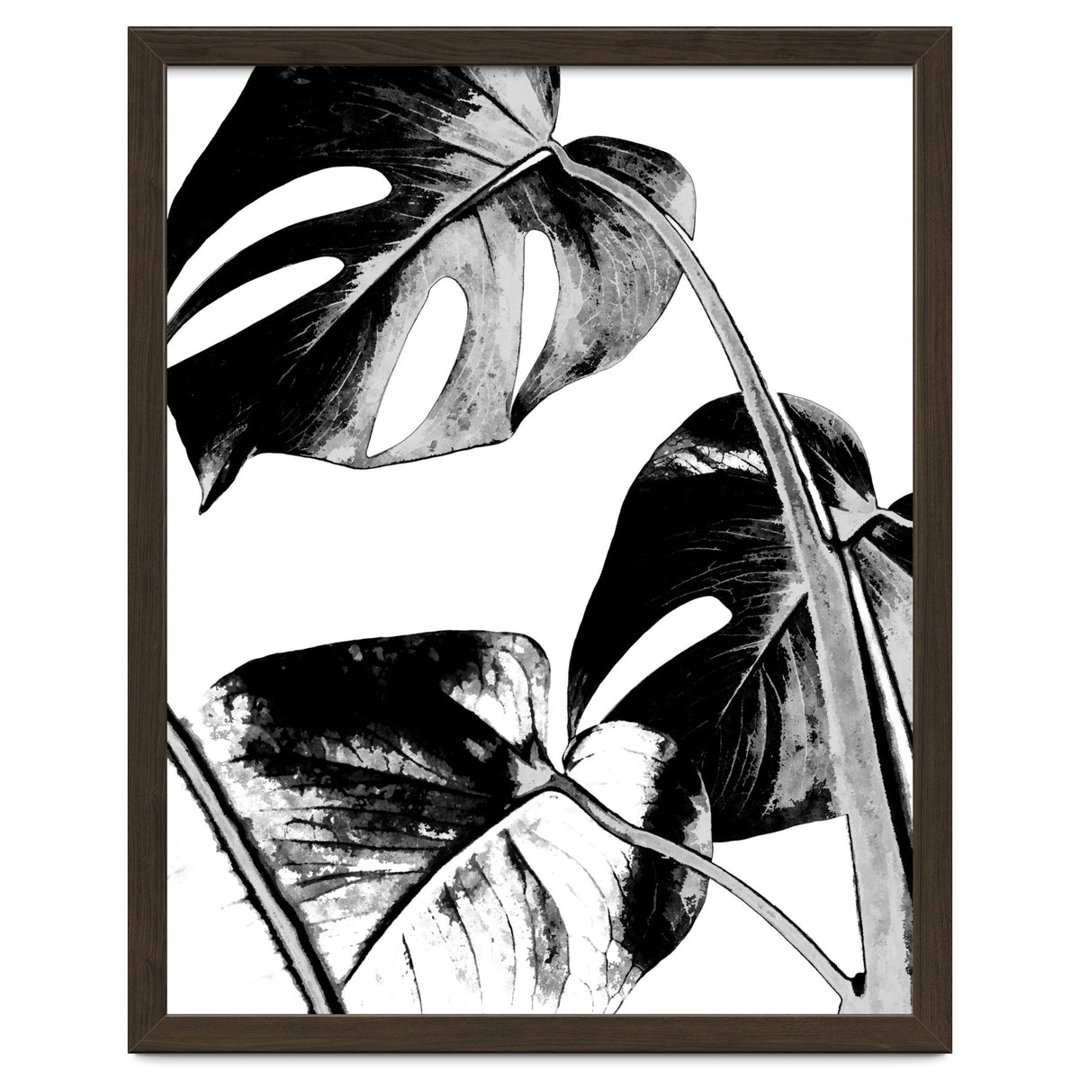 Black Tropical Leaves