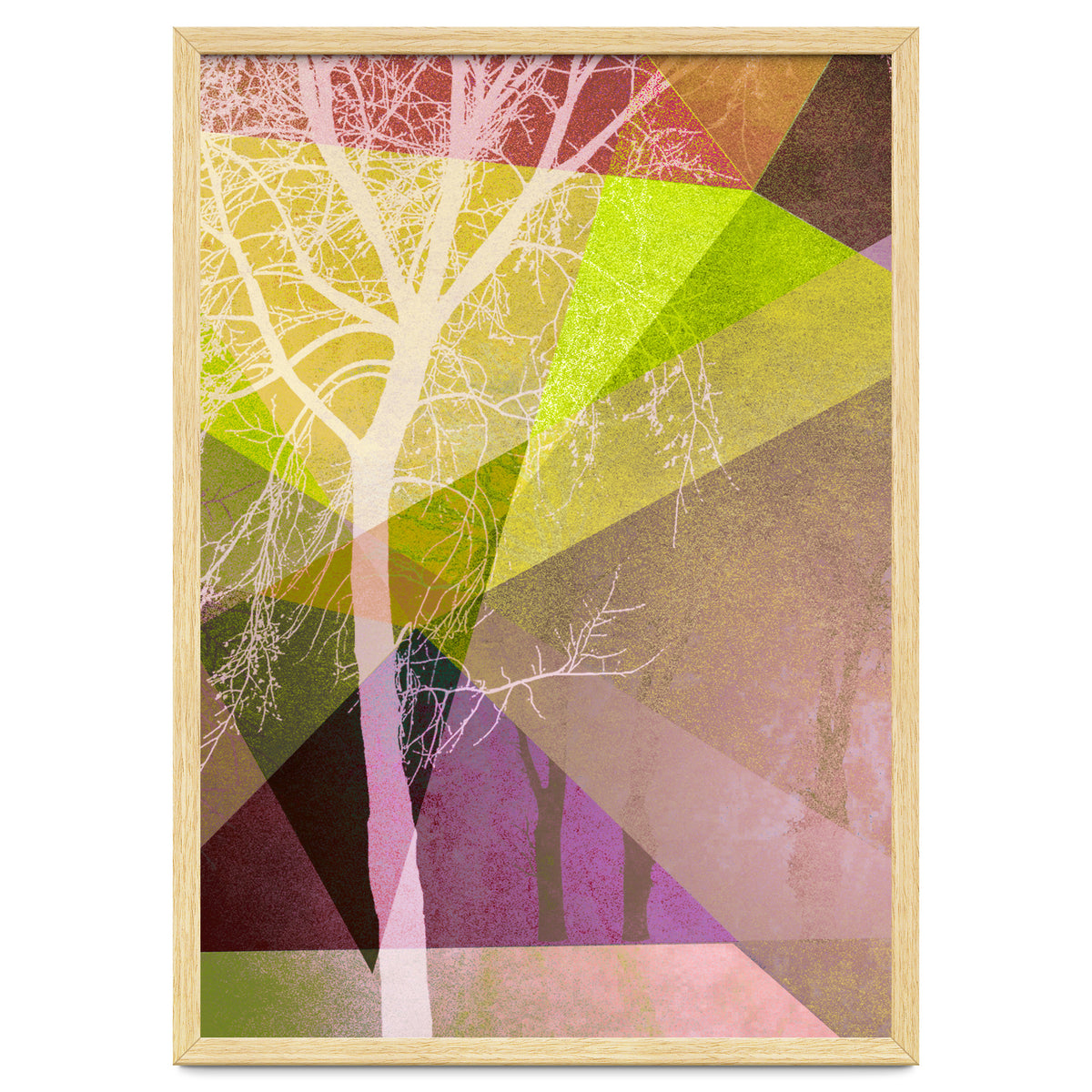 P22 Trees And Triangles