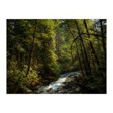 Cascade River (Print Only) thumbnail