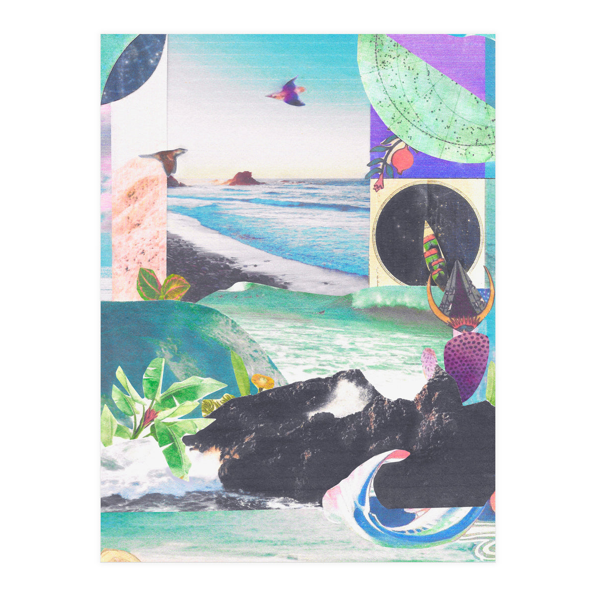 Beak Ruddy (Print Only)