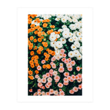 In My Garden (Print Only) thumbnail