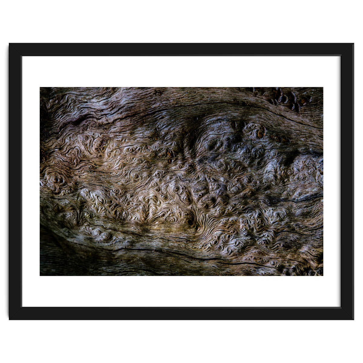 Burlwood pattern in tree