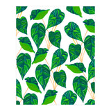 House Plant (Print Only) thumbnail
