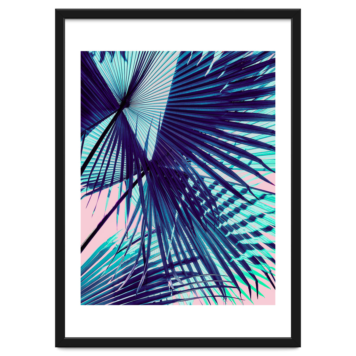 Palm leaf on the beach