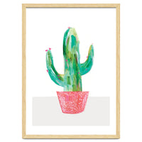 Painted Cactus In Coral Plant Pot