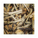 Driftwood (Print Only) thumbnail