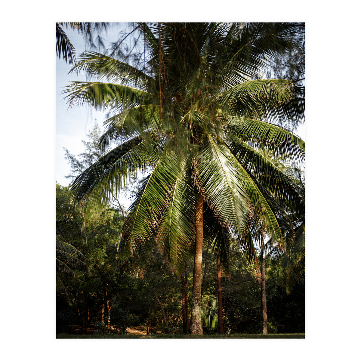 Vacation Postcard (Print Only)