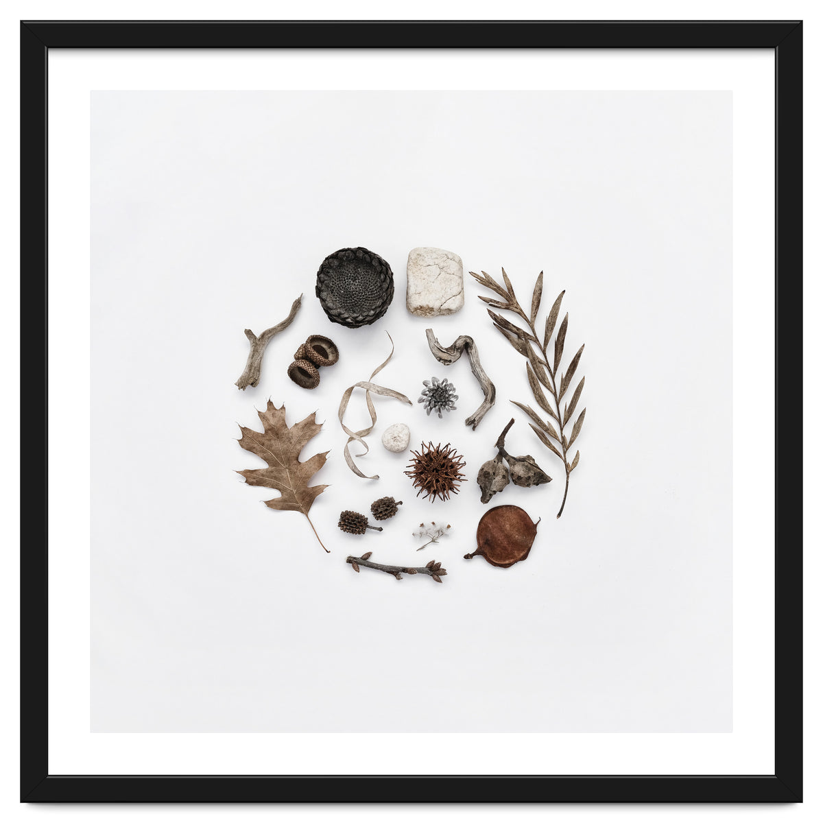 Treasures From Nature No. 2 - Square