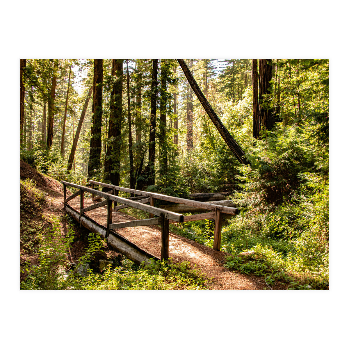 Ewoldsen Trail Bridge  (Print Only)