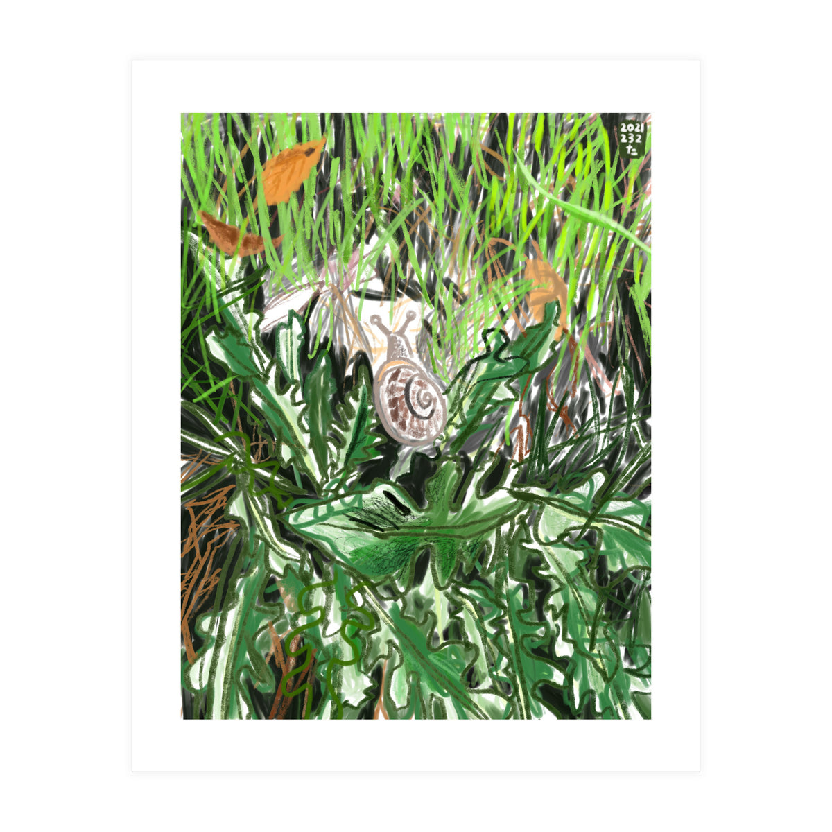 A Snail Goes (Print Only)