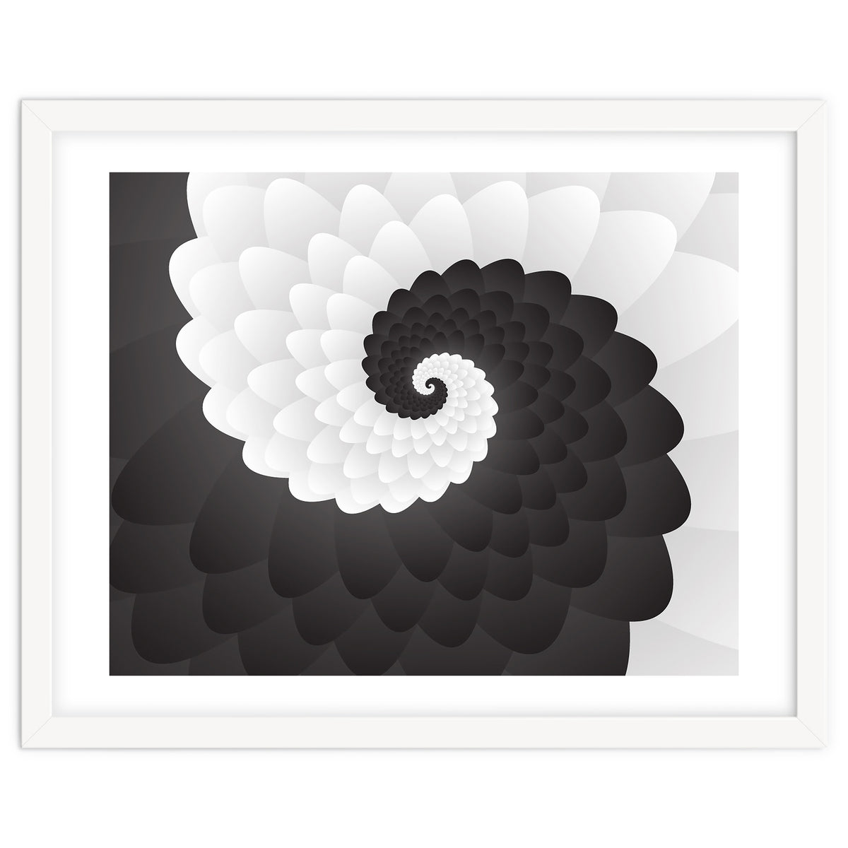 Mono Chrome Spiral Pattern