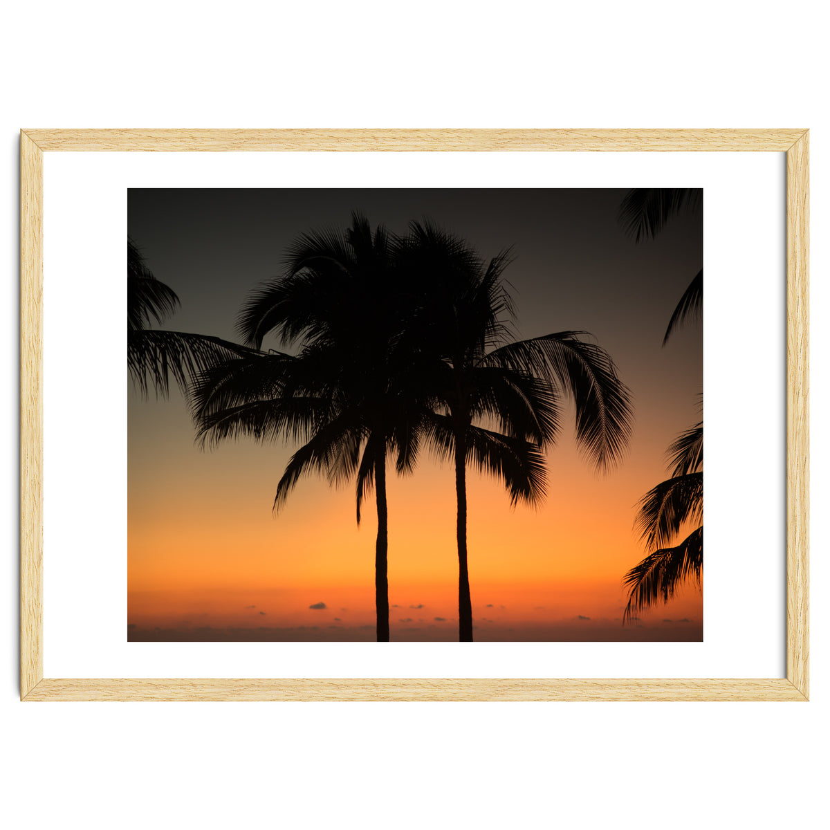 Mexico, November nights