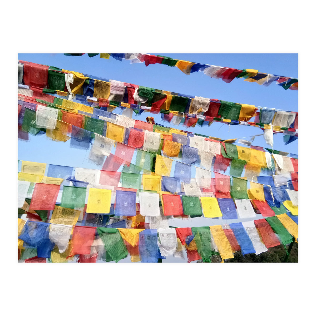 Prayer Flags  - Series 1 (Print Only)
