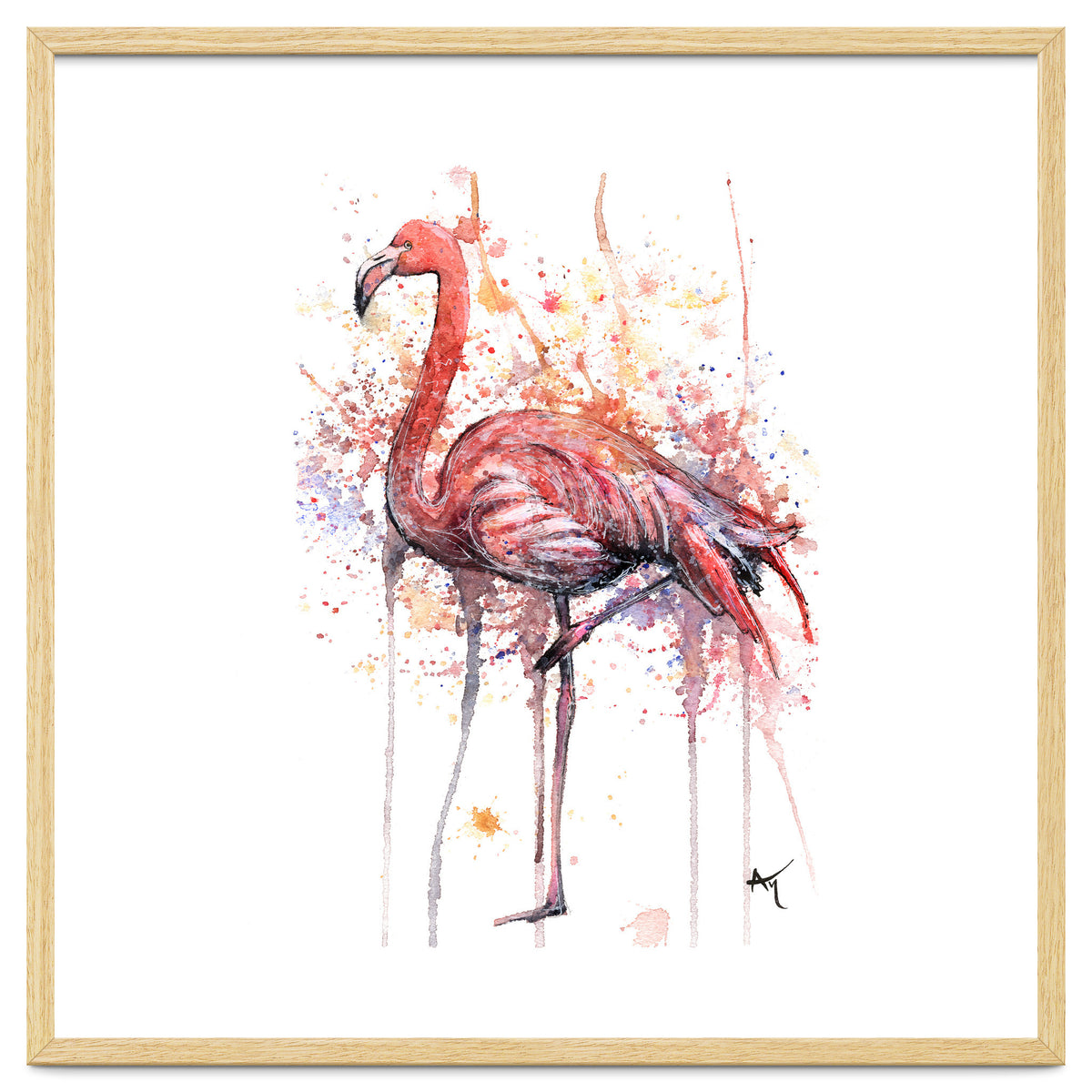 Flamingo - Wildlife Collection
