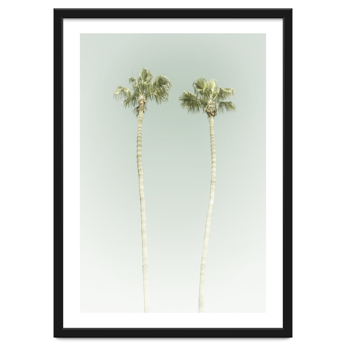 Vintage Palm Trees
