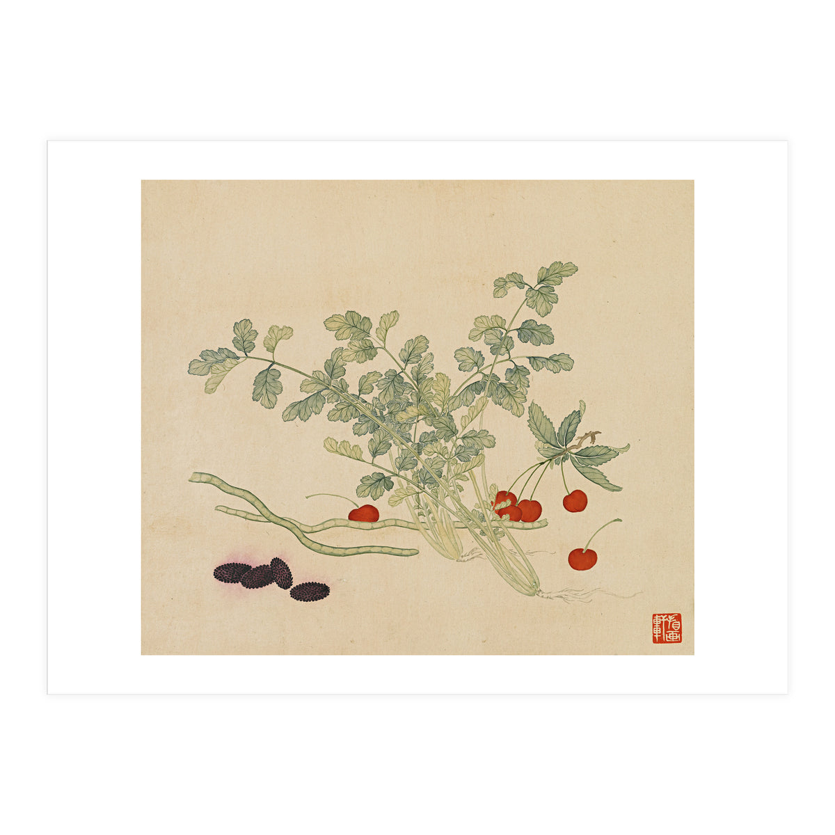 Wang Chengyu~flowers And Vegetables, Vegetables, Fruits, Beans, Red Beans, Cherries, Celery (Print Only)