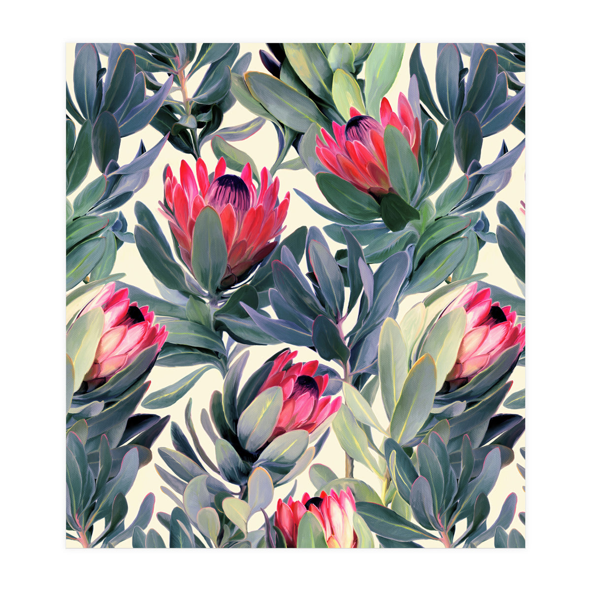 Painted Protea Pattern (Print Only)