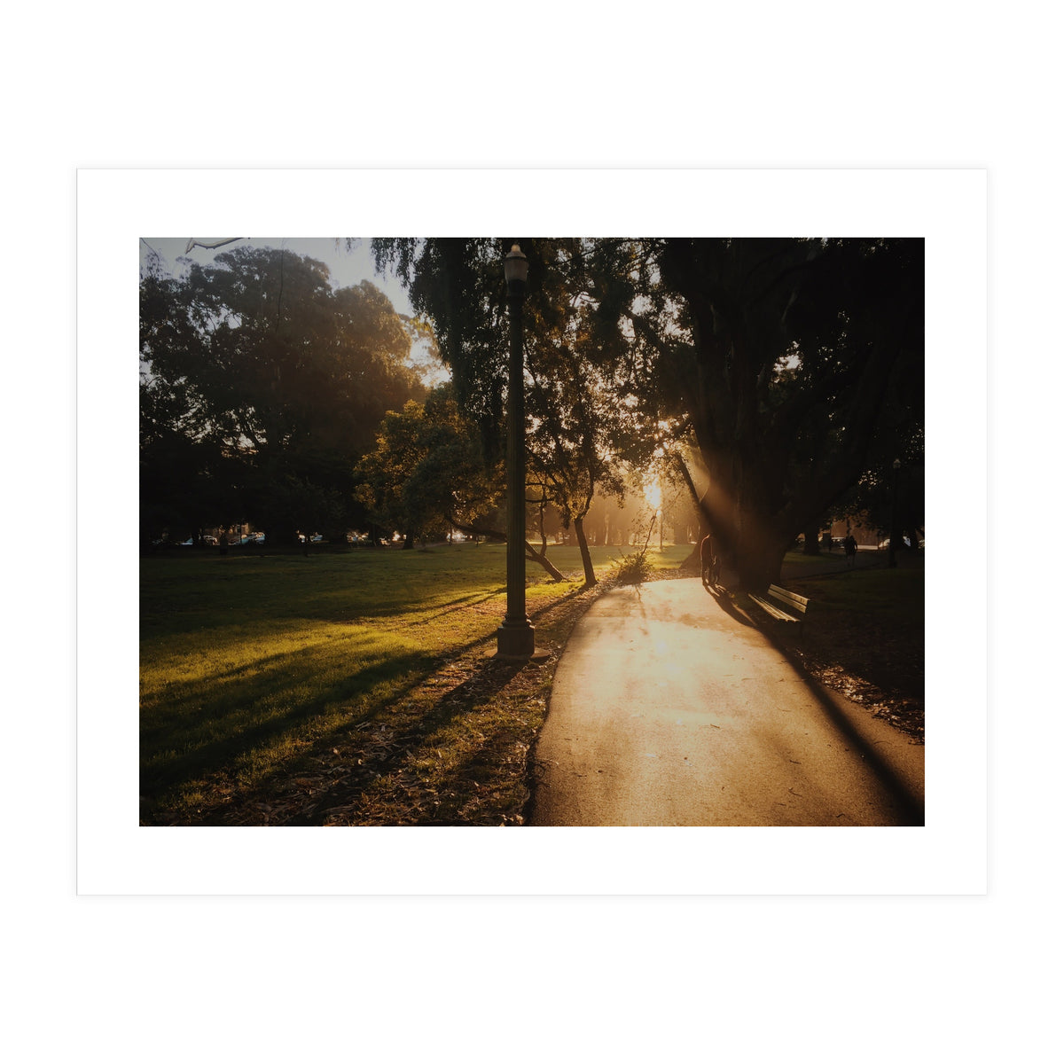 The Panhandle (Print Only)