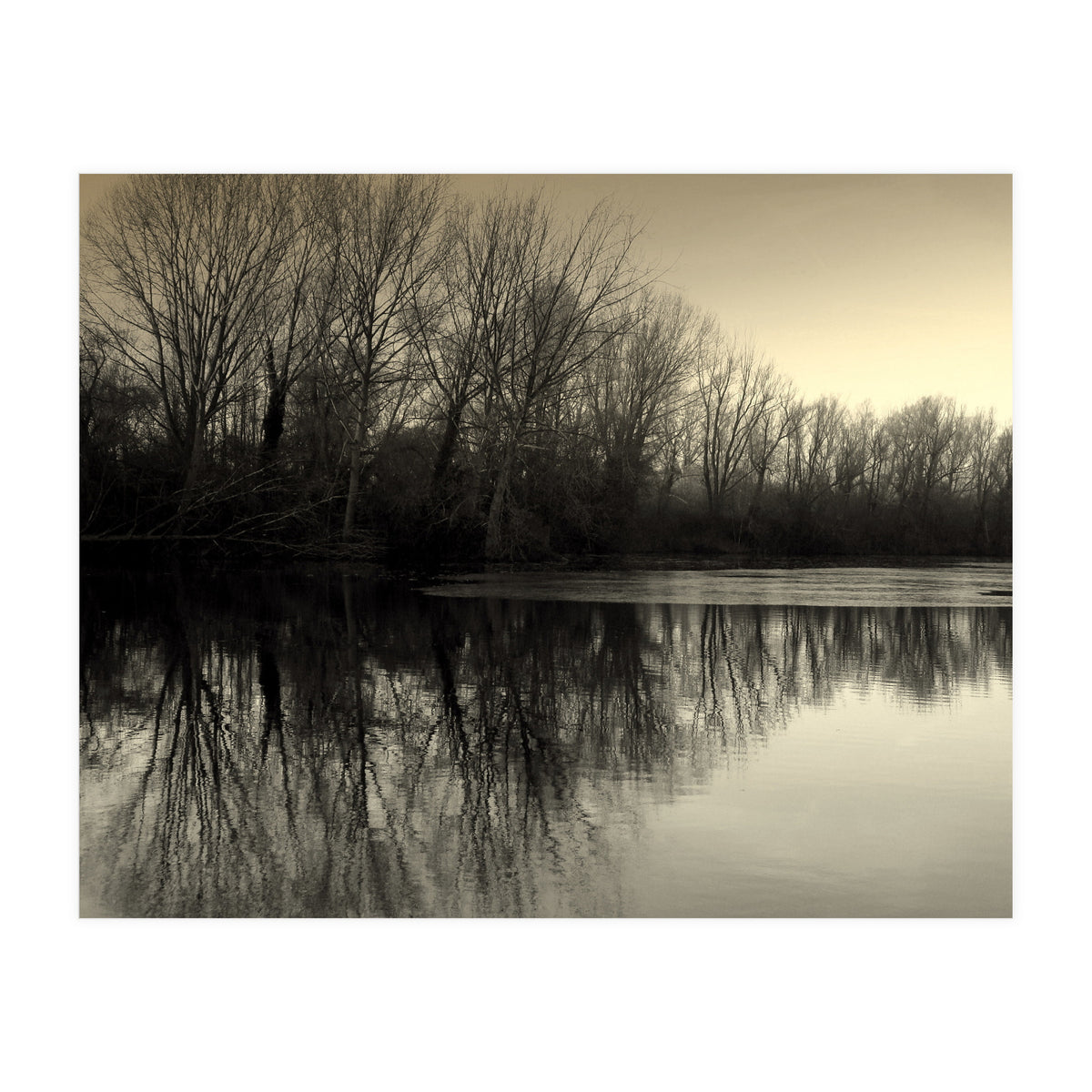 Winter Symettery  (Print Only)