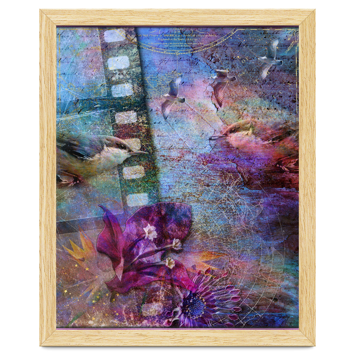 Watching the Wild World