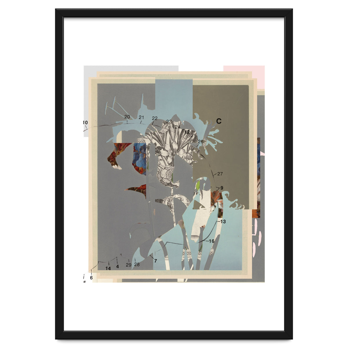 The First Plant · D