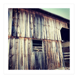 8 D13 Daf8 F8 F5 4621 A326 Cf1 B8 E3 C8084 (Print Only) thumbnail